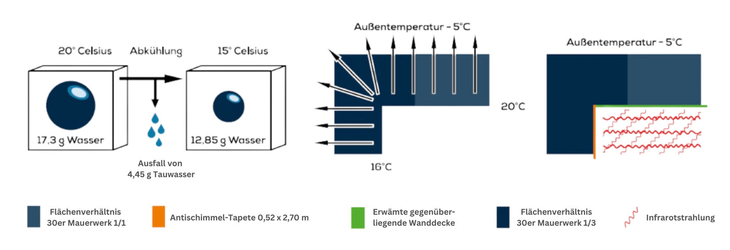 (1er) Anti-Schimmel-Set